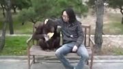 دعوای ادم با میمون برای غذا