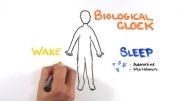 ویدئوهای علمی ASAP (قسمت دهم) - ساعت خواب