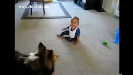 سگ بامزه سعی در خنداندن کودک دارد