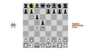 دفاع اسلاو chessopenings.com