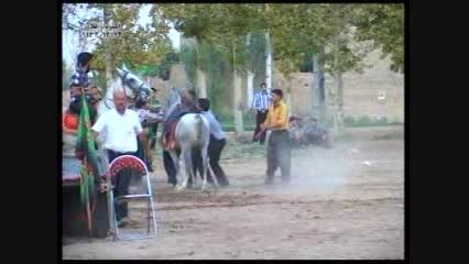 اسب کرد-اسب تعزیه-اسب پرخون-زلزله زرین شهر