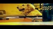 واکنش بسیار جالب سگ به موسیقی!