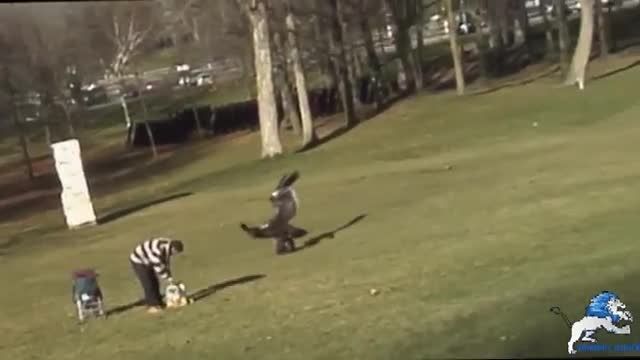 حمله عقاب به کودک