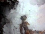 جسد آدم فضایی در برف