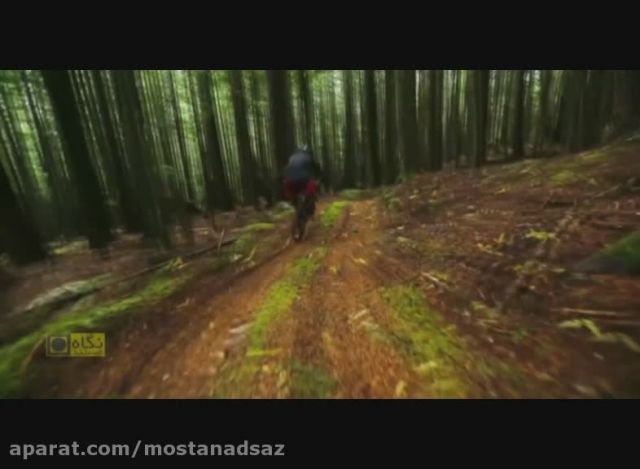 دوچرخه سوار هنرمند در جنگل خیس...