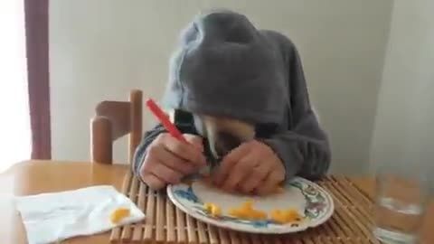 خلاقانه ترین ویدیوی قرن، سگه با دست غذا میخوره بخند فقط