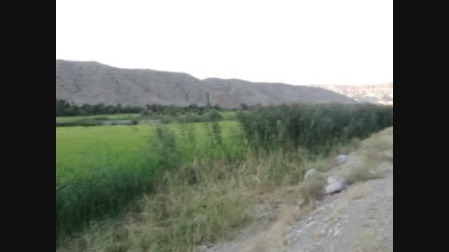 مزارع شالیزار منطقه درونگر خراسان رضوی شهرستان درگز