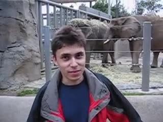 Me at the zoo - اولین ویدیو ی آپلود شده در یوتیوب