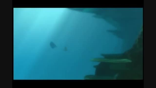 انیمیشن  Finding Nemo 2003