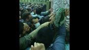 عکس امیر تتلو در مشهد در هنگام گرفتن ضریح امام رضا(ع)