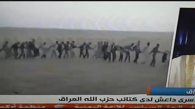 اسارت 700 داعشی توسط رزمندگان حزب الله عراق