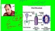 فصل 9 ویروس ها و باکتری ها  ق 1 -نوع ماده ژنتیکی-کنکور