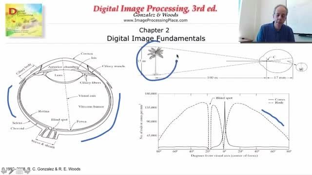 Digital image processing: p005- Human visual system