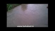 بارش باران در جلیل آباد بهاباد