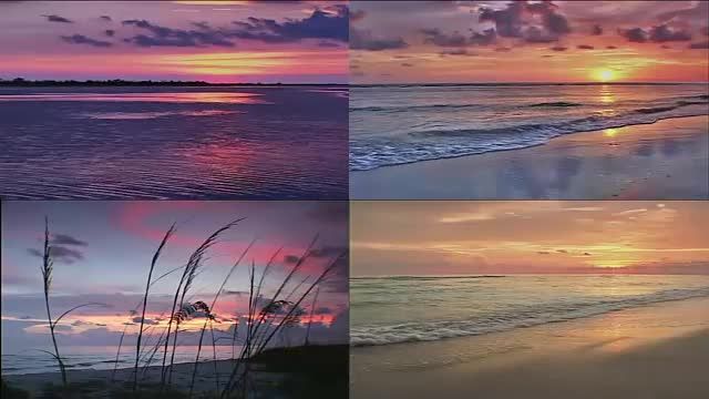 فوتیج سواحل - Artbeats &ndash; Florida Beaches