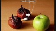 عاقبت سیگار کشیدن
