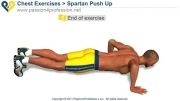 Spartan Push Up (300 workout)
