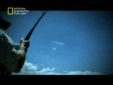 مستند شکار غول پیکران-National Geographic Catching Giants
