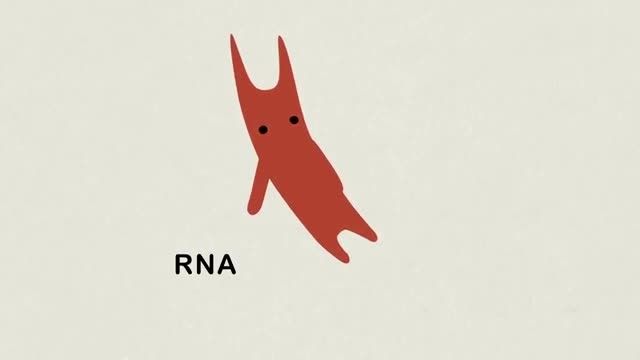 RNAi: Slicing, dicing and serving your cells