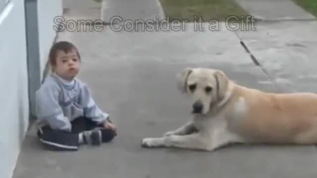 لحظه های زیبا بین سگ و کودک