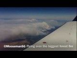 آتش سوزی جنگلهای آریزونا - دید از هواپیما