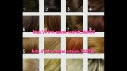 دخترا بگن از کدوم رنگ مو خوشتون میاد؟؟(نظرسنجی)