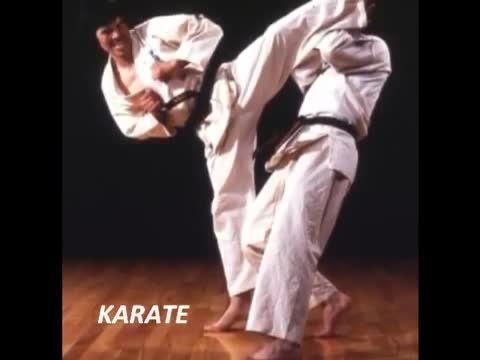 Top 10 Martial Arts for Self Defense