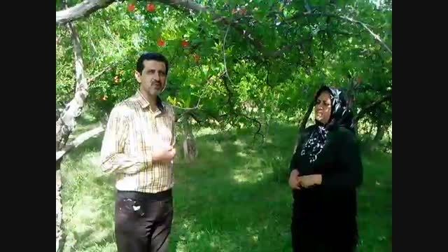 باغ انار- استان فارس - اردیبهشت 94