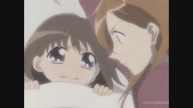 fruits basket1