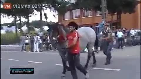 لگد مرگبار اسب