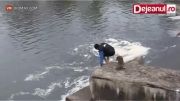 نجات دادن یک سگ از غرق شدن