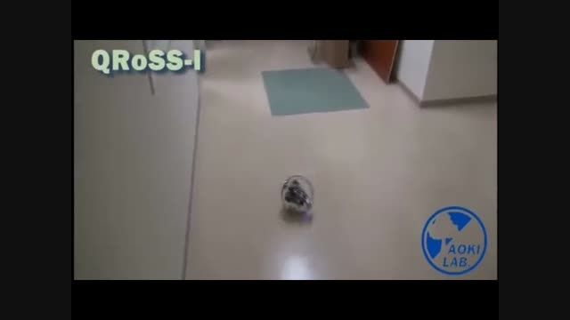 این ربات برروی هر سطحی می تواند حرکت کند