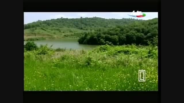 آهنگ سنتی آذربایجانی Fezail Miskinli - Sinix Teraneleri