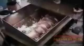 طریقه تولید سوسیس کالباس از گوشت خوک