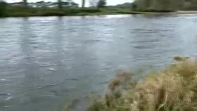 ماهیگیری در رودخانه جالب