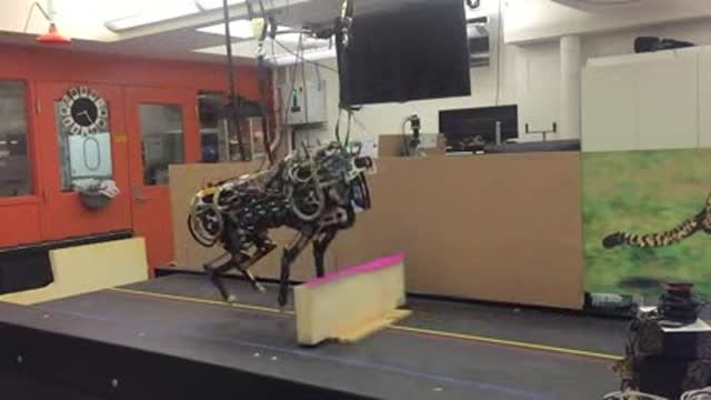 روبات هایی با قدرت پرش از موانع