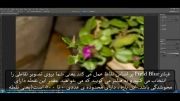 آموزش گالری Blur- محوشدگی در فتوشاپ CS6 / فیلتر Field Blur