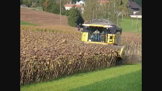 sunflower harvester1