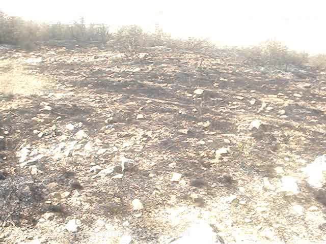 آتش سوزی در جنگلهای مانه و سملقان 1390