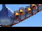 انیمیشن خنده دار: برای پرندگان