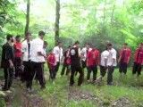 تمرینات پرتوآ در جنگل