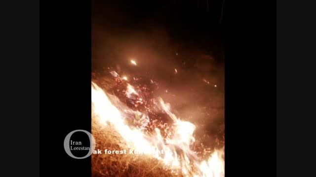 آتش سوزی در جنگل های بلوط -کوهدشت لرستان-13 و 14 مرداد