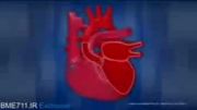 فیزیولوژی قلب