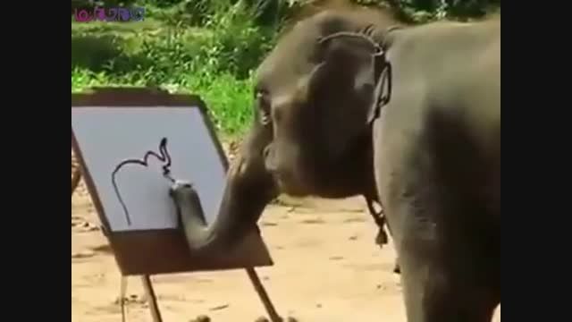 فیل عکس خودش را می کشد_نقاشی+فیلم کلیپ ویدیو