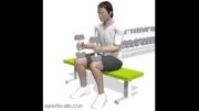 آموزش حرکت بدنسازی ساق پا نشسته با دمبل