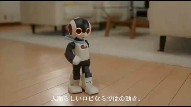 Robi رباتی با درک متقابل از ژاپن