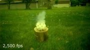 exploding fruit in 40000 FPS slow mo