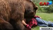 ارتباط و بازی کردن یک مرد با خرس گریزلی - گپ تی وی