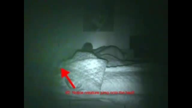 بیگانه در رختخواب یک زن