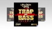 Bass Boutique Trap and Bass Volume 1 | vstzone.in